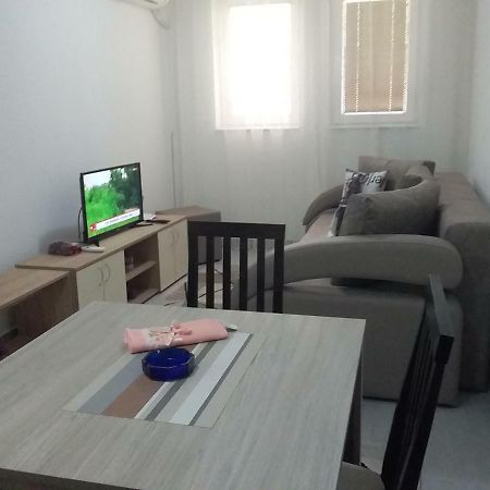 Apartman Jevtic 1 Gornja Toplica Kültér fotó